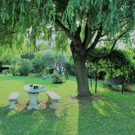 Gites Maisons De Vacances Domaine La Chamade Carpentras Exteriör bild