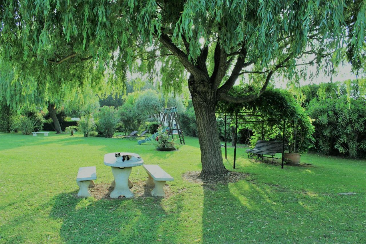 Gites Maisons De Vacances Domaine La Chamade Carpentras Exteriör bild